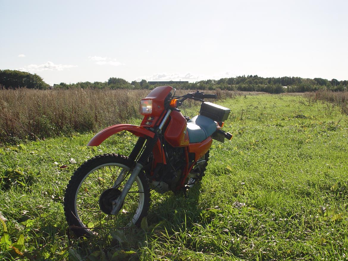 Honda XL250R billede 7
