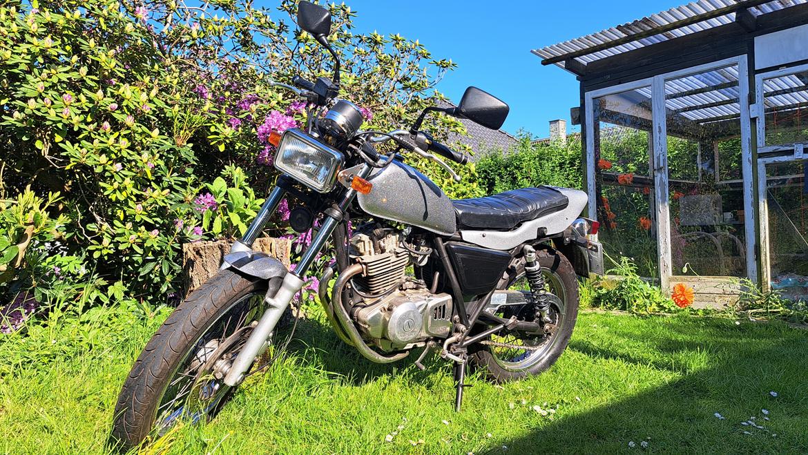 Suzuki TU250X billede 6