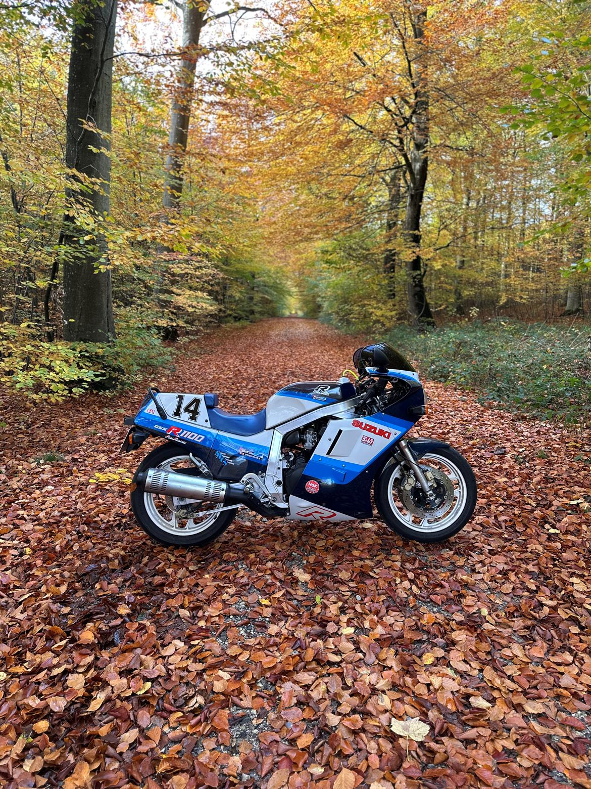 Suzuki GSX-R 1100 billede 7