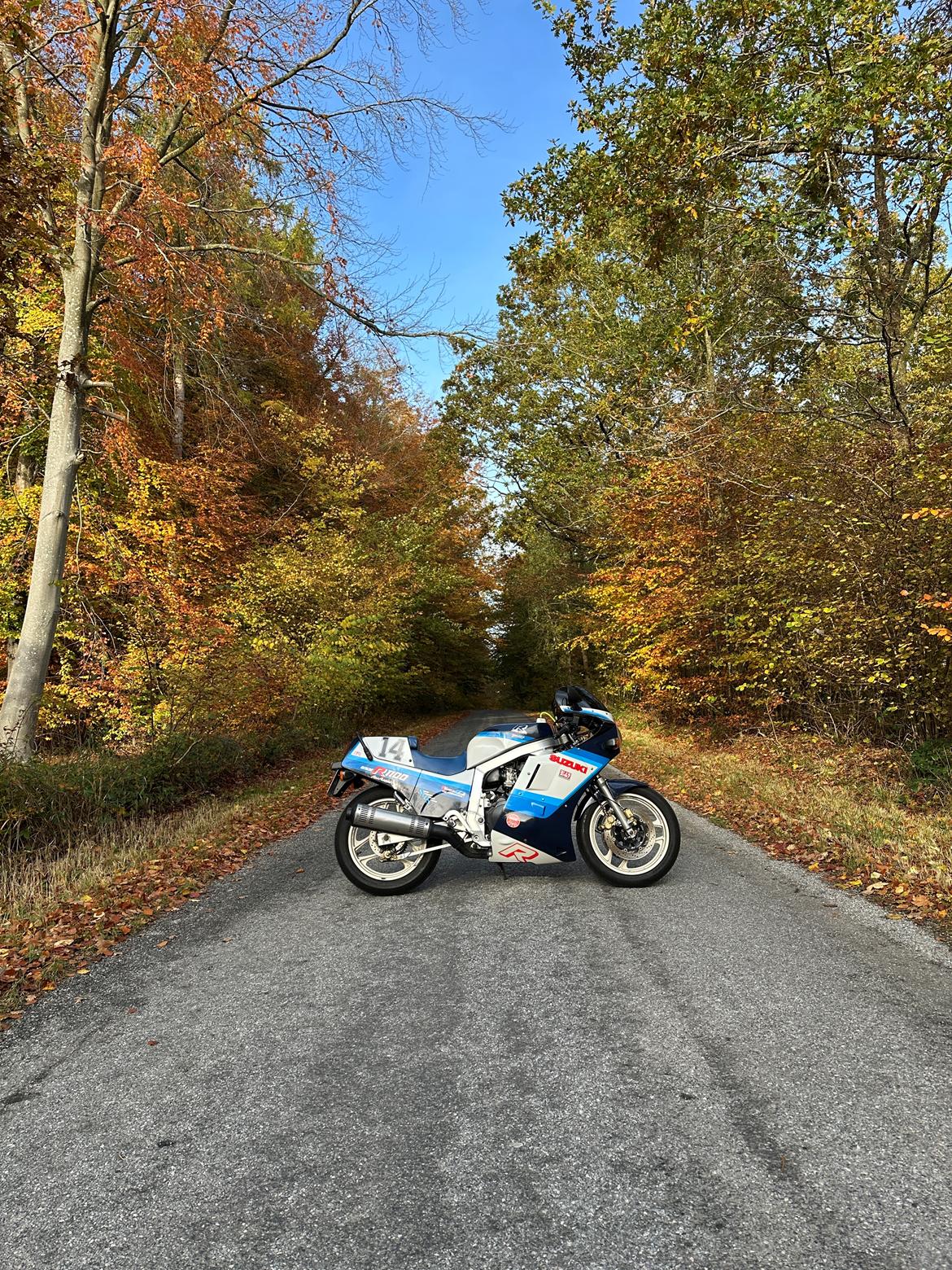 Suzuki GSX-R 1100 billede 6