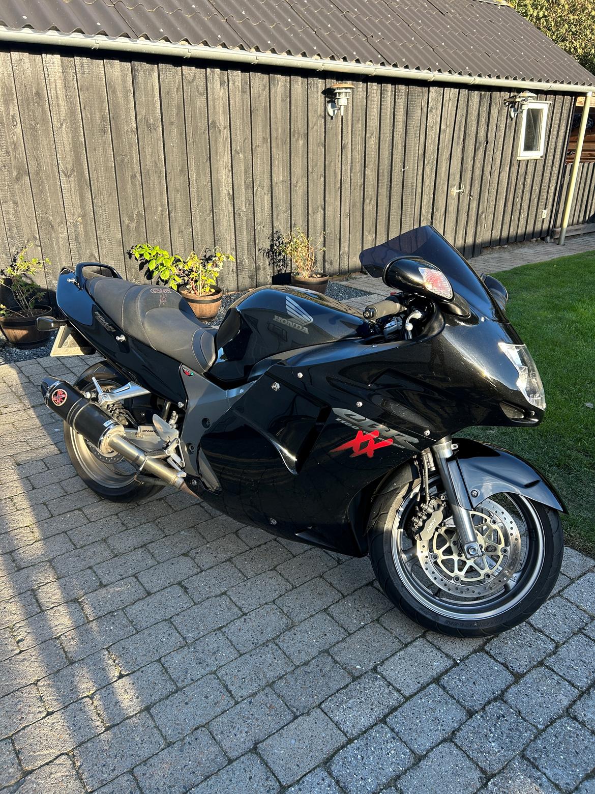 Honda Cbr 1100 xx blackbire billede 1