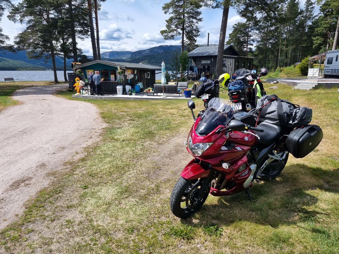 Suzuki Gsf 1250 S Bandit  billede 5