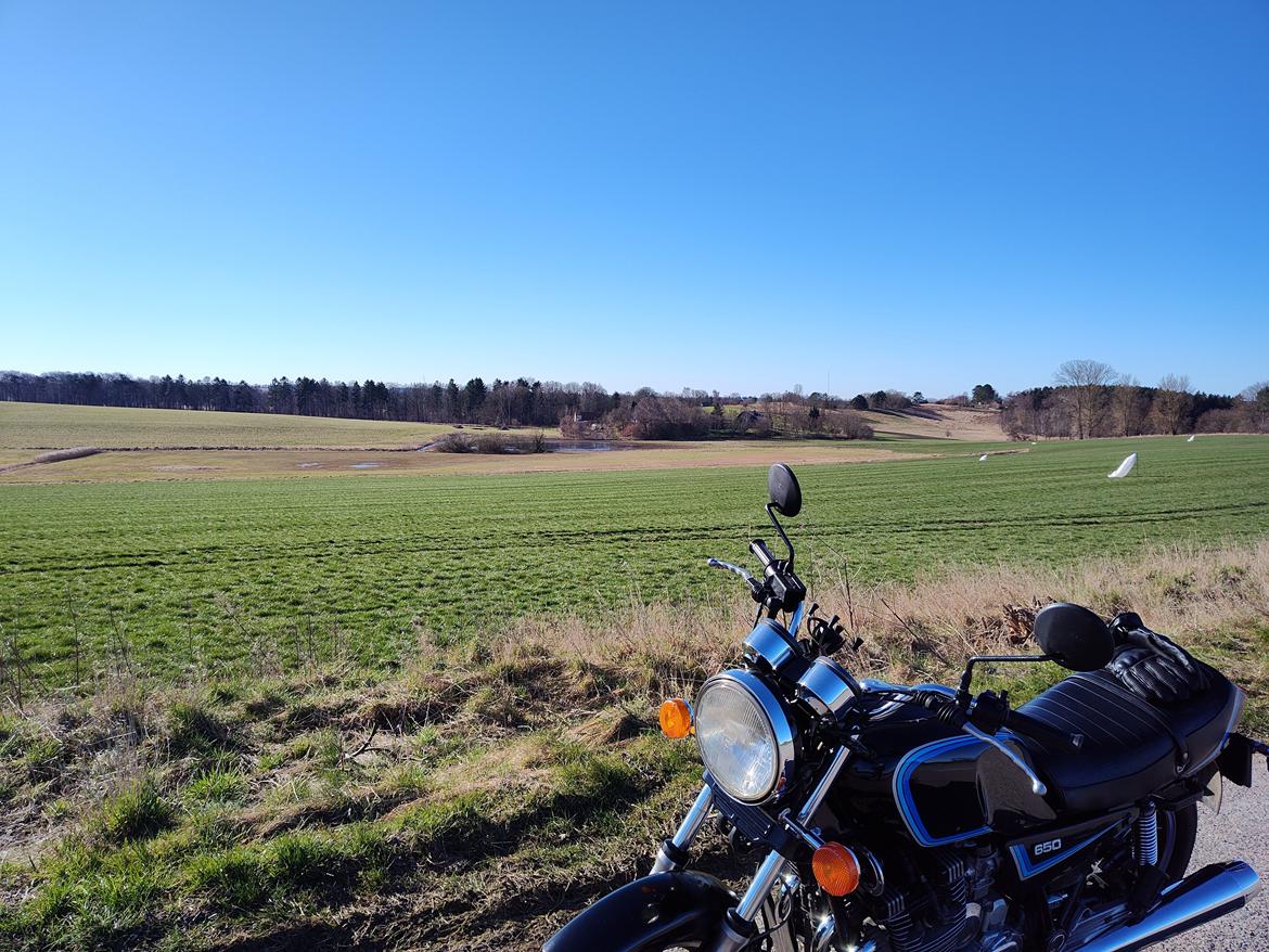 Yamaha XJ 650 RJ Seca billede 4