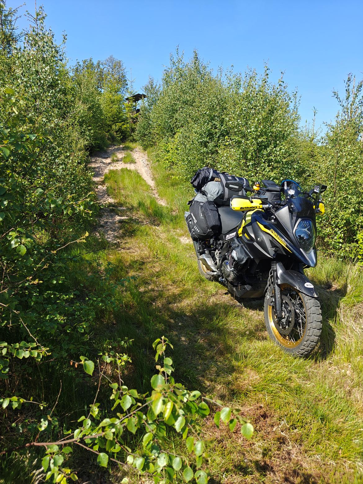 Suzuki DL 650 XT V-Strom  billede 4