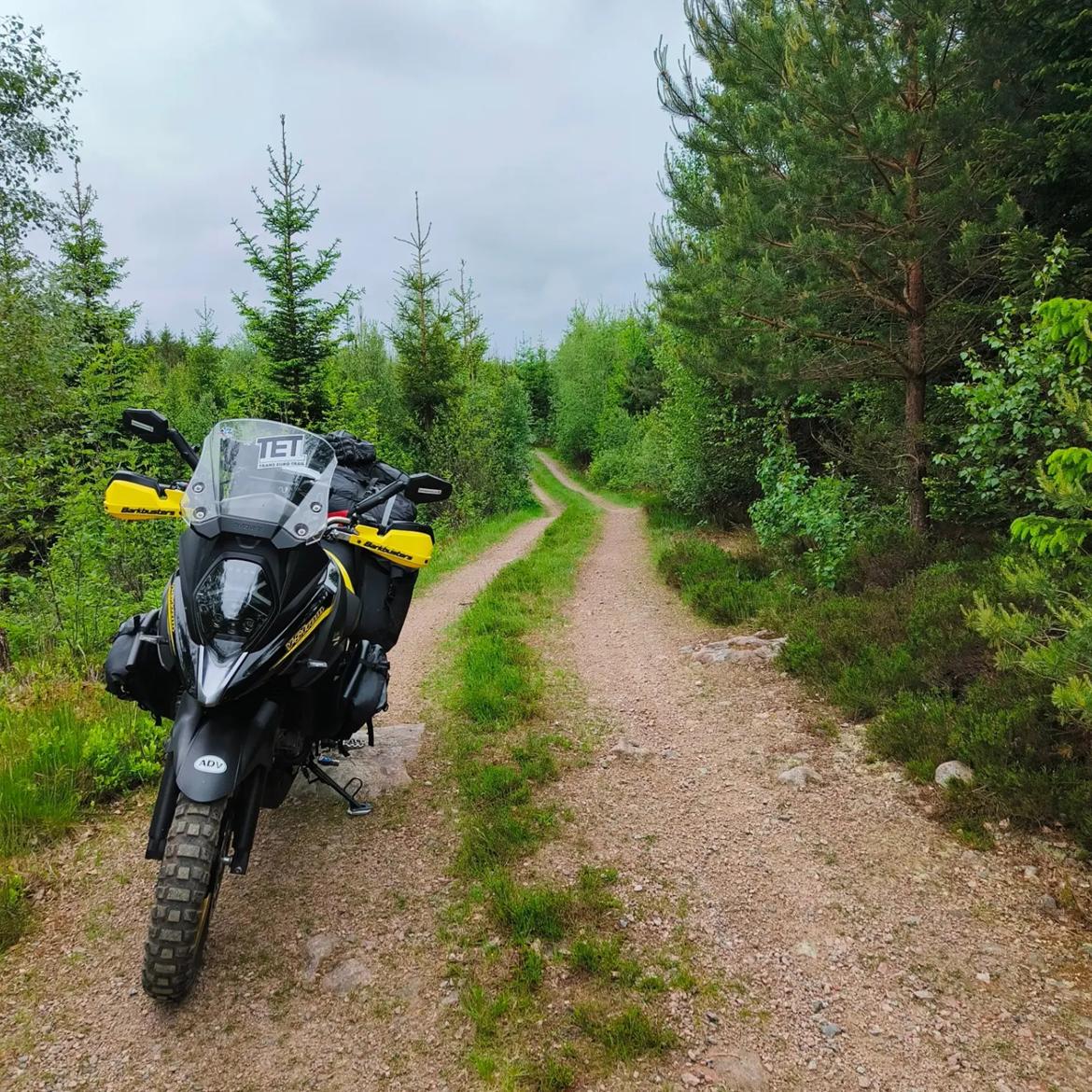 Suzuki DL 650 XT V-Strom  billede 7