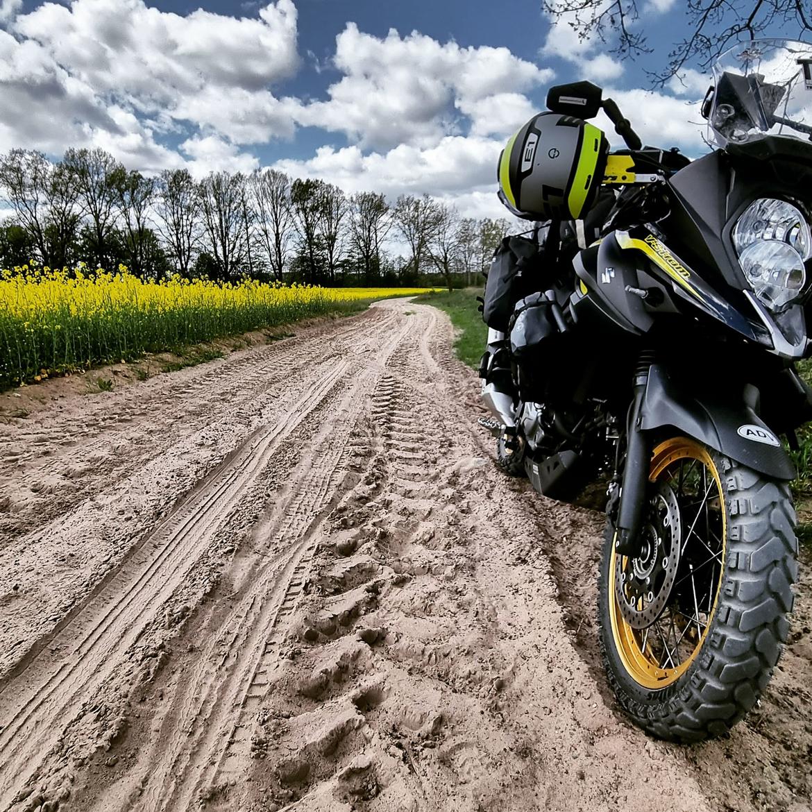 Suzuki DL 650 XT V-Strom  billede 10