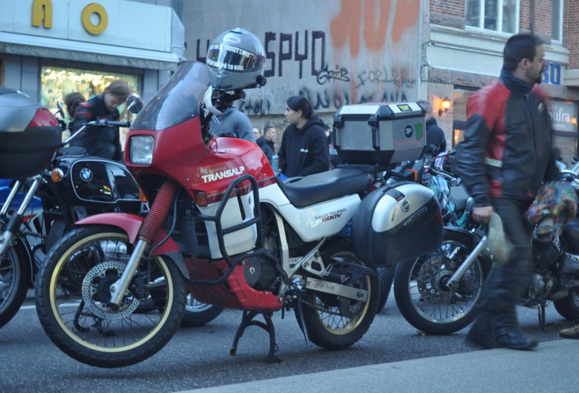 Honda XL600V Transalp billede 1