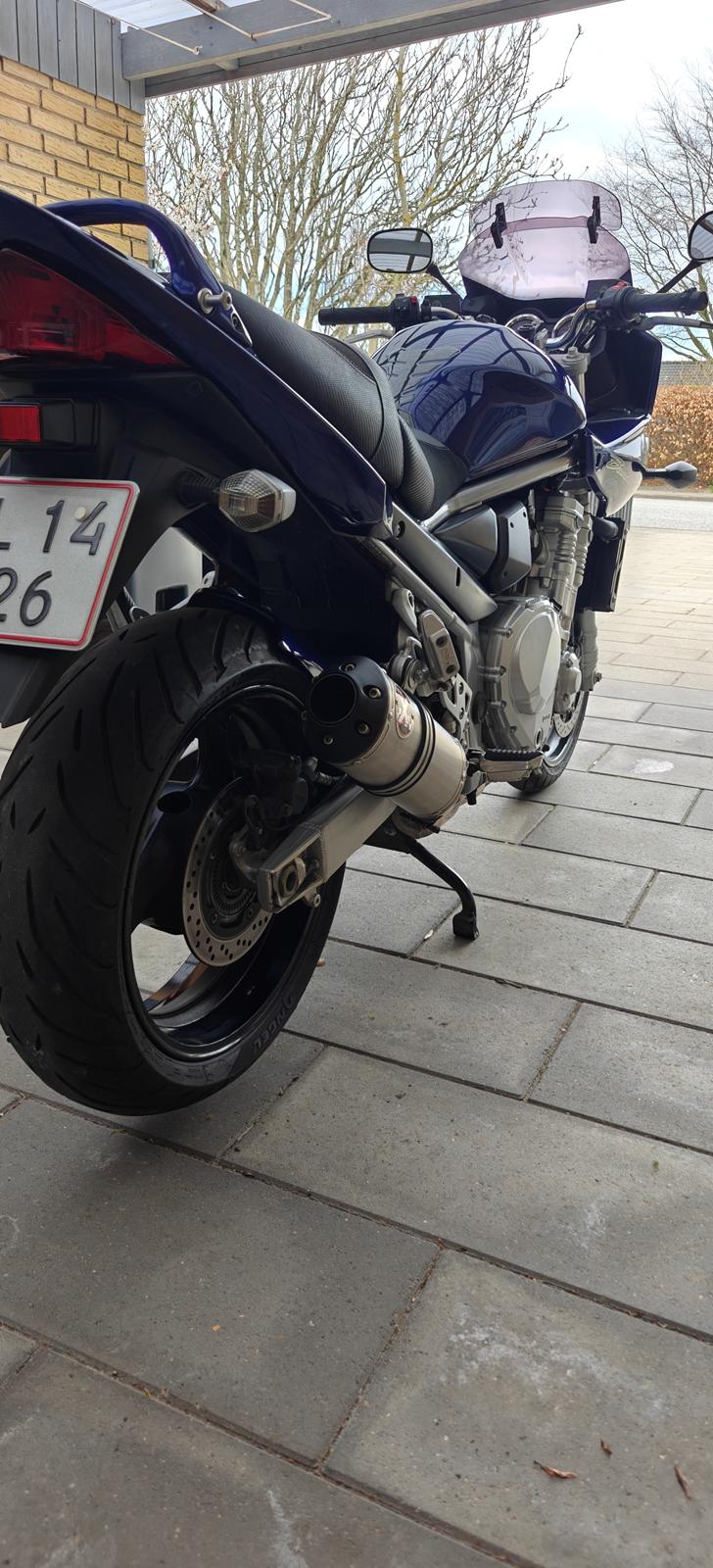 Suzuki GSF 1250 S Bandit billede 42