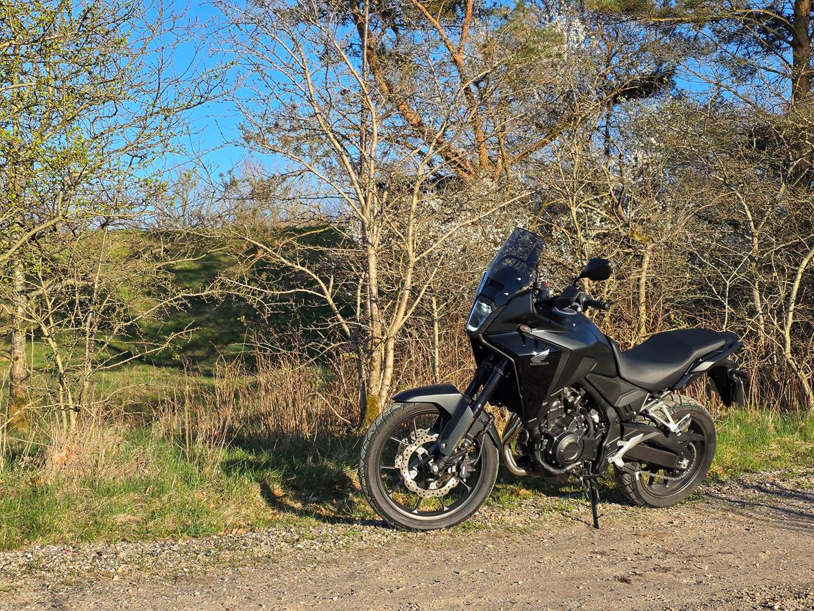 Honda NX500 billede 9