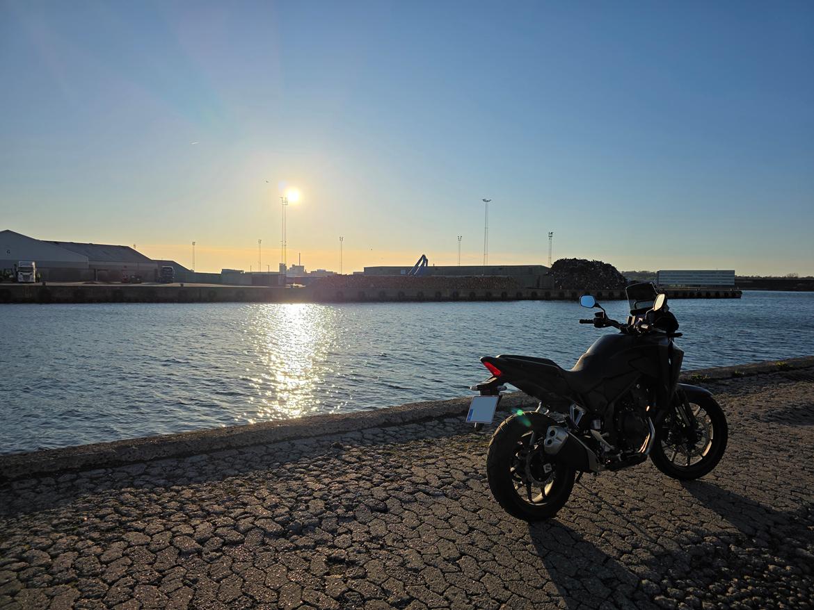 Honda NX500 billede 14