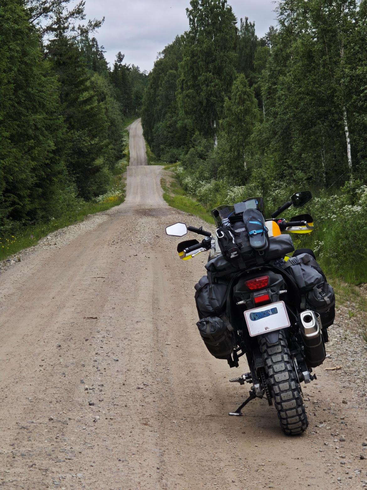 Suzuki DL 650 XT V-Strom  billede 5