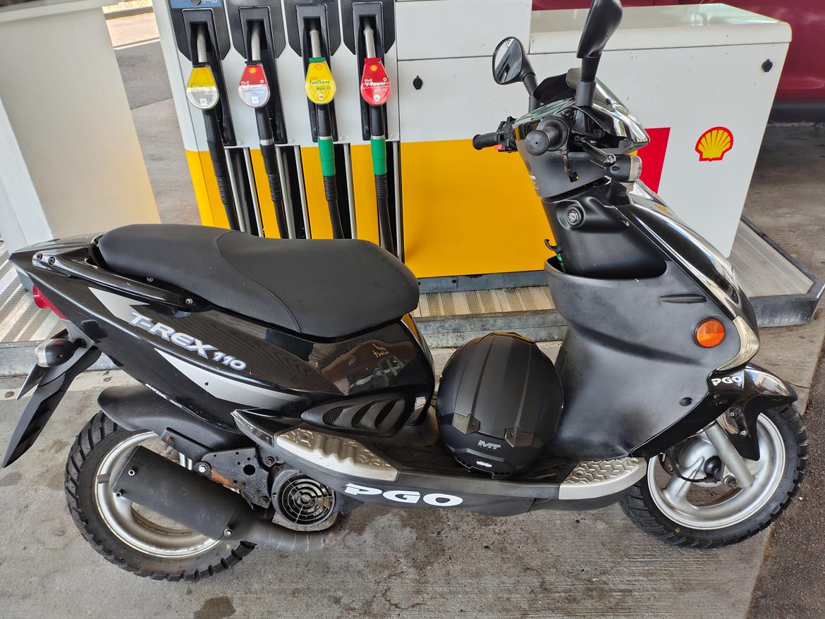 PGO T rex 110 billede 2