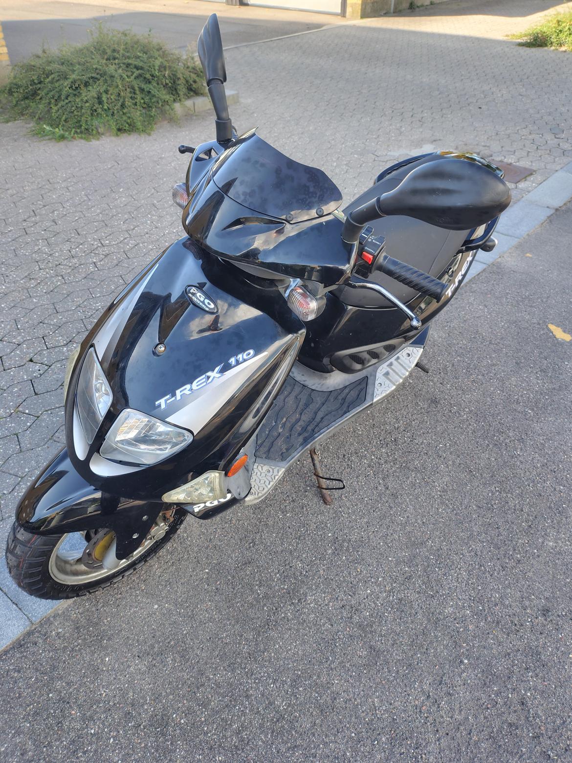 PGO T rex 110 billede 6
