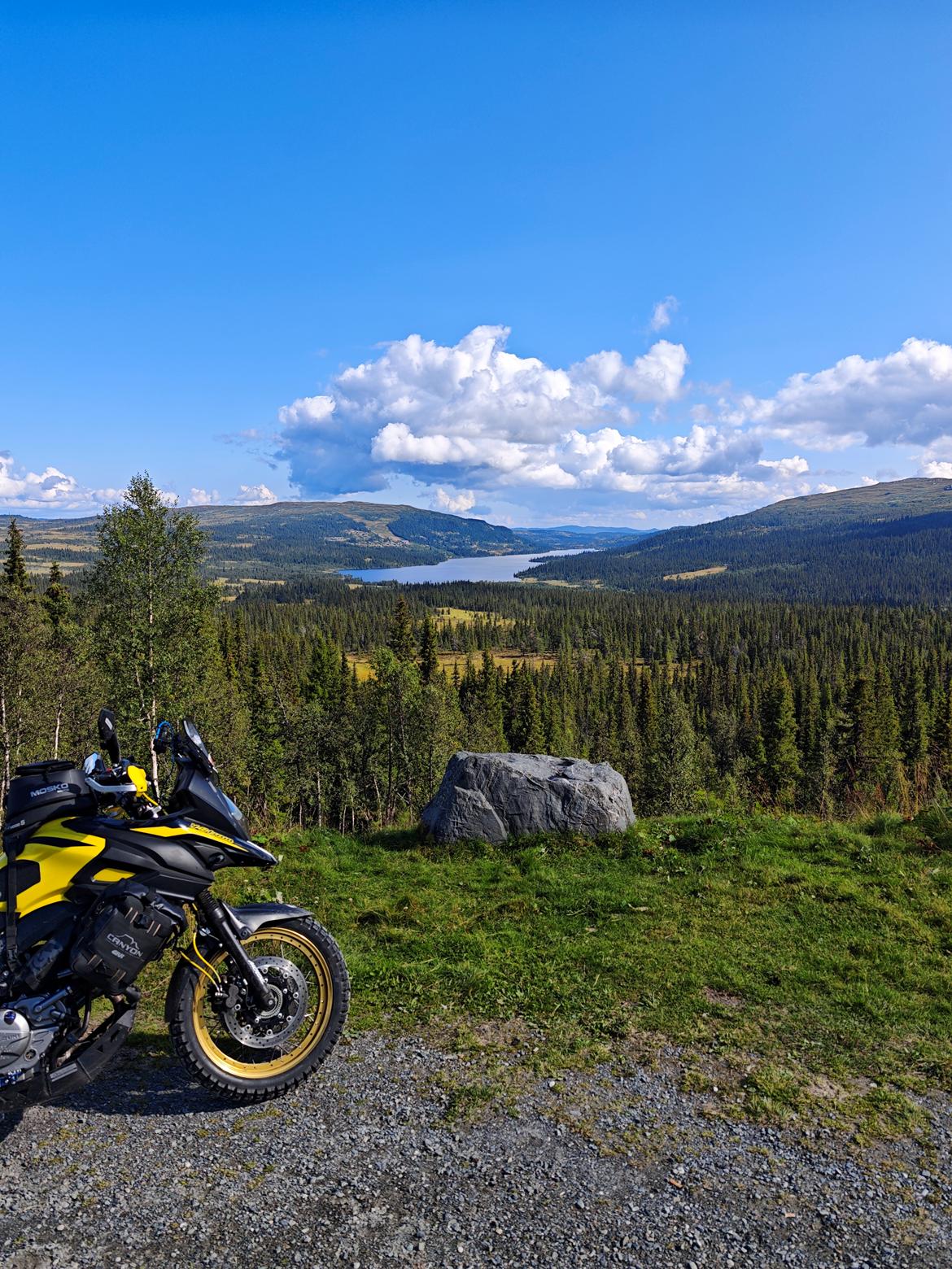 Suzuki DL 650 XT V-Strom  billede 14