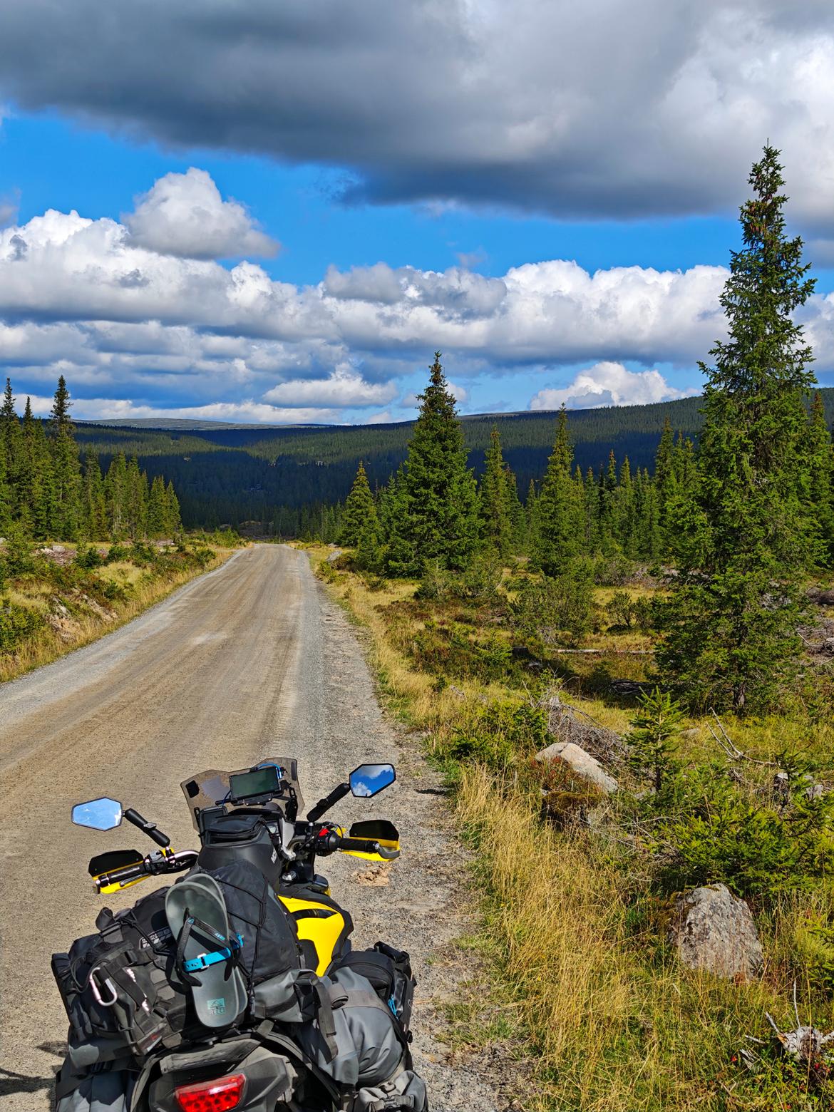 Suzuki DL 650 XT V-Strom  billede 15