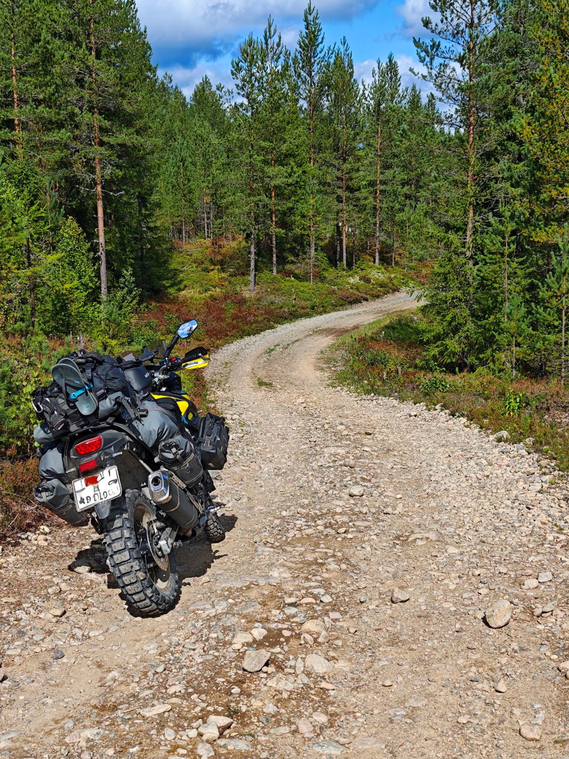Suzuki DL 650 XT V-Strom  billede 17