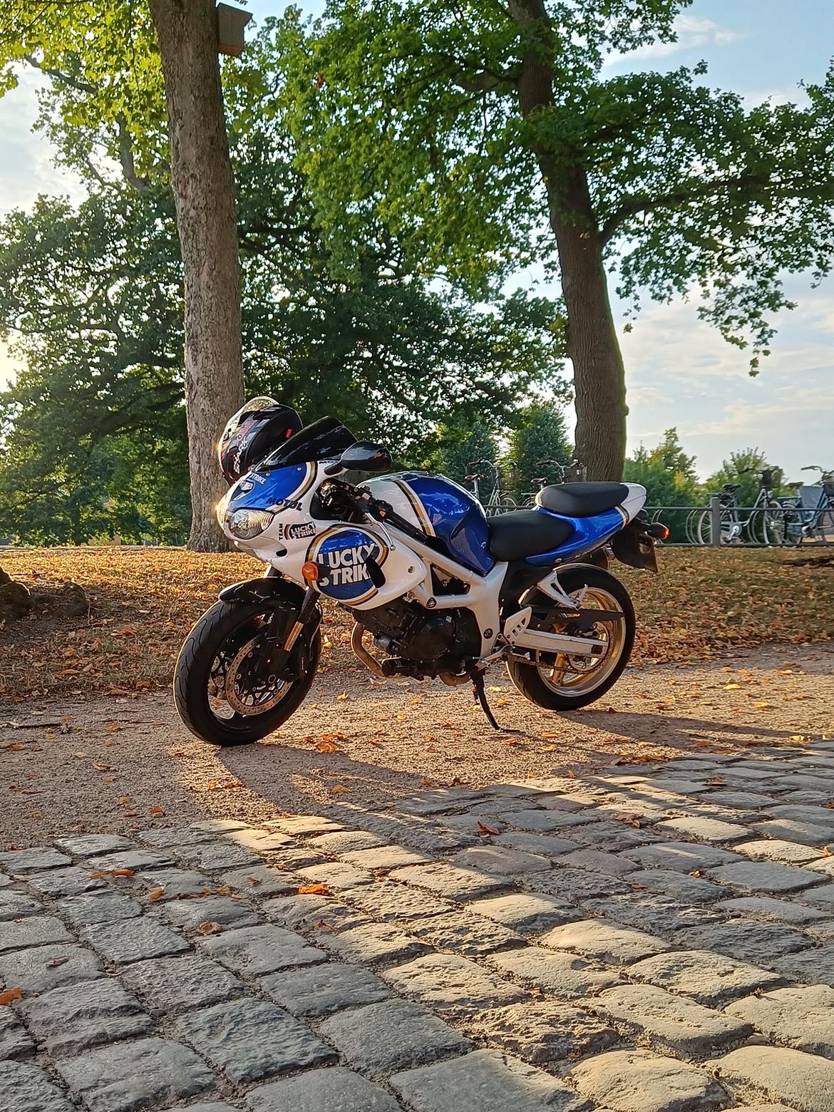 Suzuki SV650S/R billede 10