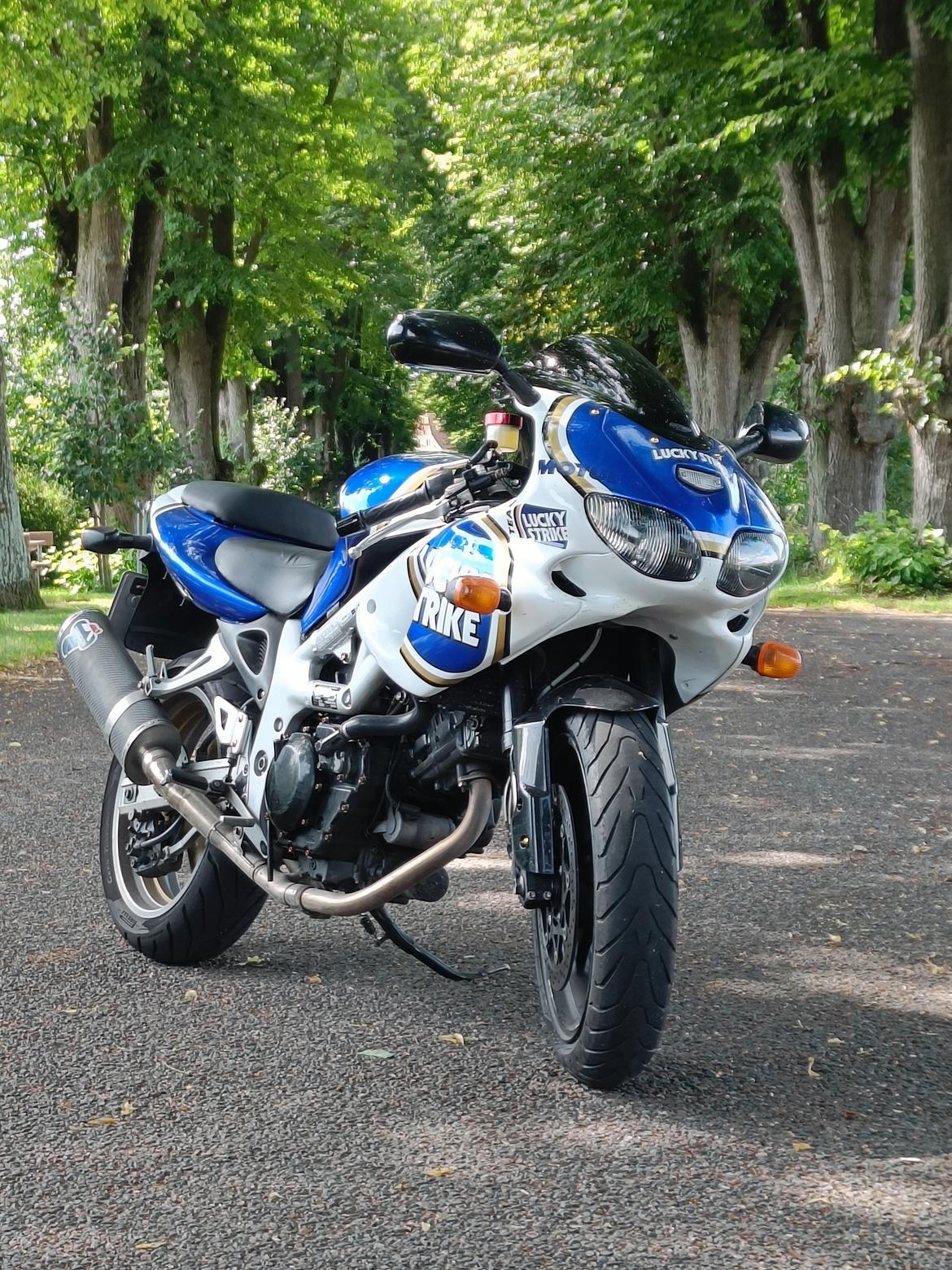 Suzuki SV650S/R billede 2