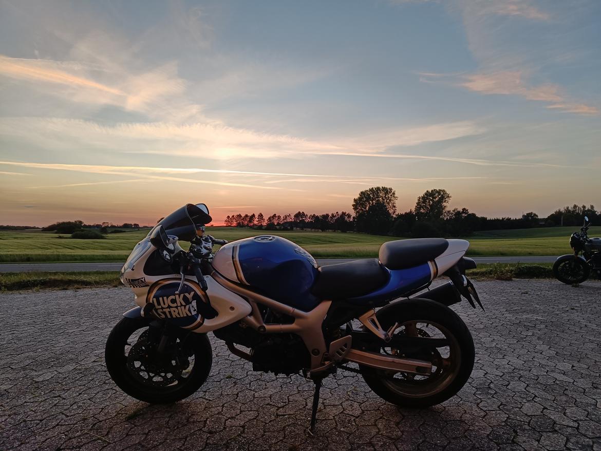 Suzuki SV650S/R billede 3