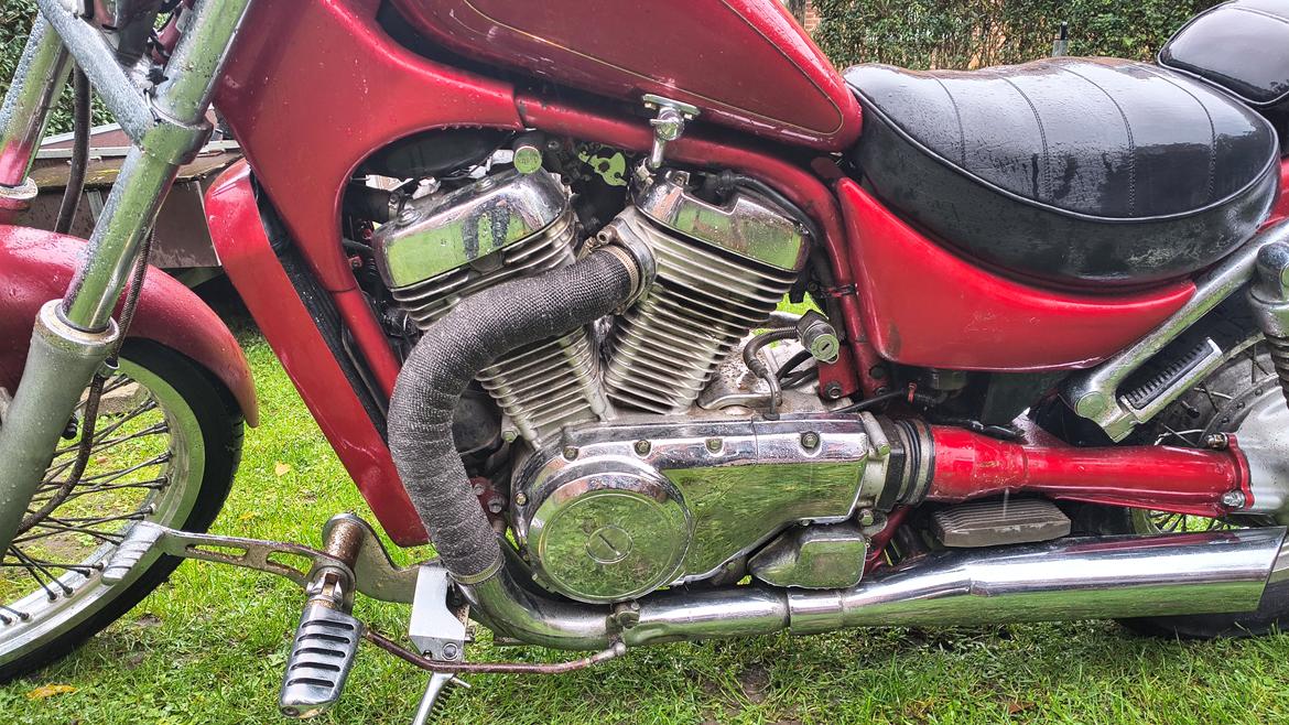 Suzuki VS 750 intruder (Trudolf) billede 10
