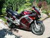 Suzuki Rf 900 R