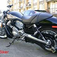 Harley Davidson VRSCR Street Rod
