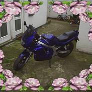 Suzuki GS 500 E *SOLGT*