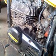 Suzuki TS 185CC/ SOLGT