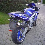 Yamaha YZF-R6 Deltabox