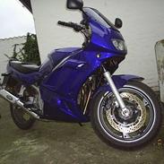 Suzuki GS 500 E *SOLGT*