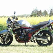 Suzuki GSF 650 Bandit  R.I.P