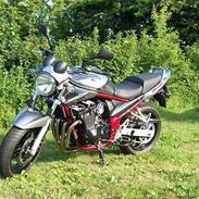 Suzuki GSF 650 Bandit  R.I.P