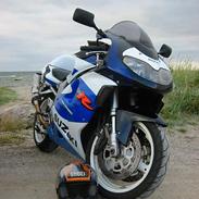 Suzuki TL1000R 2000 STJÅLET