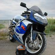 Suzuki TL1000R 2000      STJÅLET