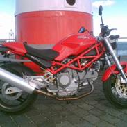 Ducati Monster