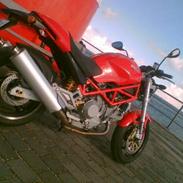 Ducati Monster