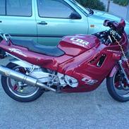 Honda CBR 600 F1 - SOLGT -