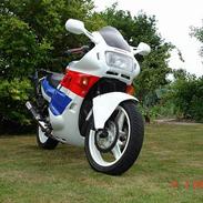 Honda cbr 600 -SOLGT 