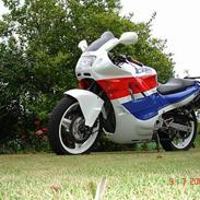 Honda cbr 600 -SOLGT 