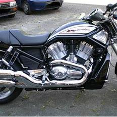 Harley Davidson VRSCR Street Rod