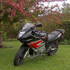 Suzuki GS500/F -- (Solgt) --