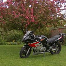 Suzuki GS500/F -- (Solgt) --