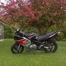 Suzuki GS500/F -- (Solgt) --