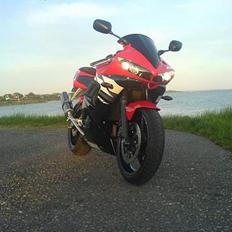 Yamaha YZF R6 SOLG
