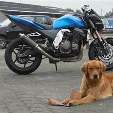 Kawasaki Z750 RR