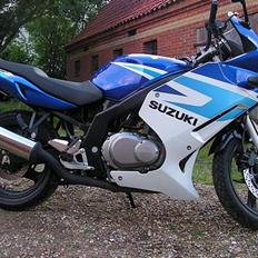 Suzuki gs500f