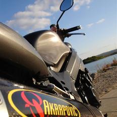 Triumph *Solgt*