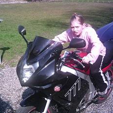 Suzuki Gs 500E SOLGT