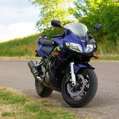 Suzuki SV1000S (solgt)