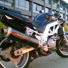 Suzuki SV 1000 *SOLGT*